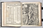 Bibel 1664, restauriert (18)